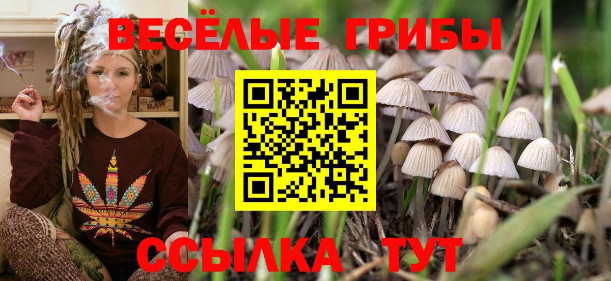 Барабинск  дарнет шоп  Псилоцибиновые грибы GOLDEN TEACHER  Вход с VPN  Псилоцибиновые грибы мухоморы 